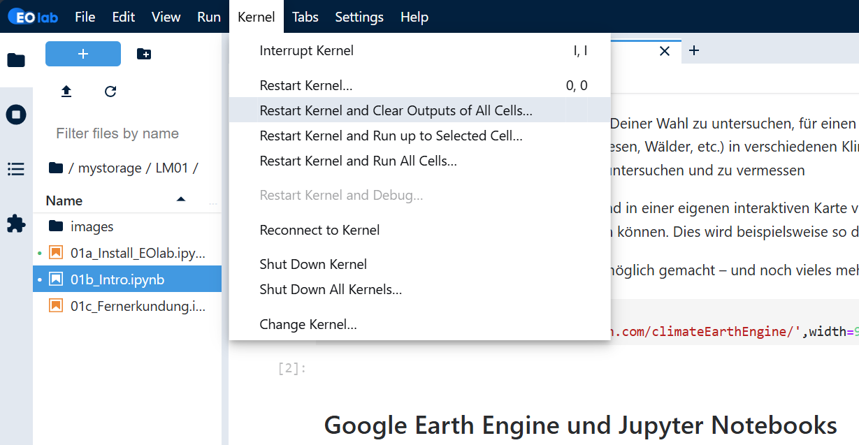 Restart Kernel in EO Lab
